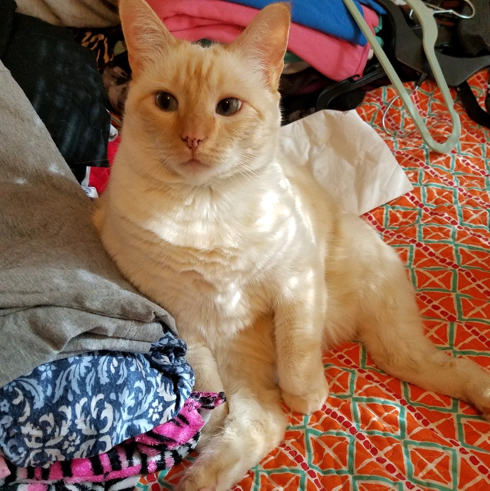 Meet your Posher, Fern